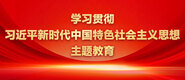 美女搞鸡被干骚逼狂射学习贯彻习近平新时代中国特色社会主义思想主题教育_fororder_ad-371X160(2)